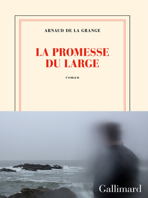 cover image of La promesse du large